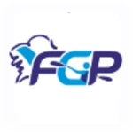 fegapi android application logo